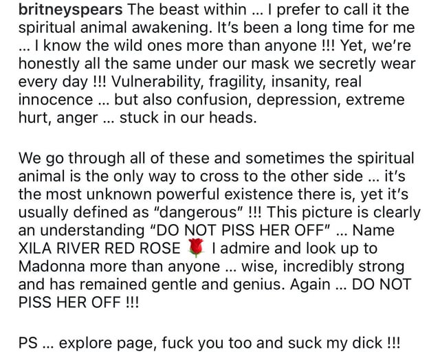 Instagram App: Essential Features and User Insights